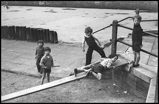 boys on a plank, woodstock gardens
